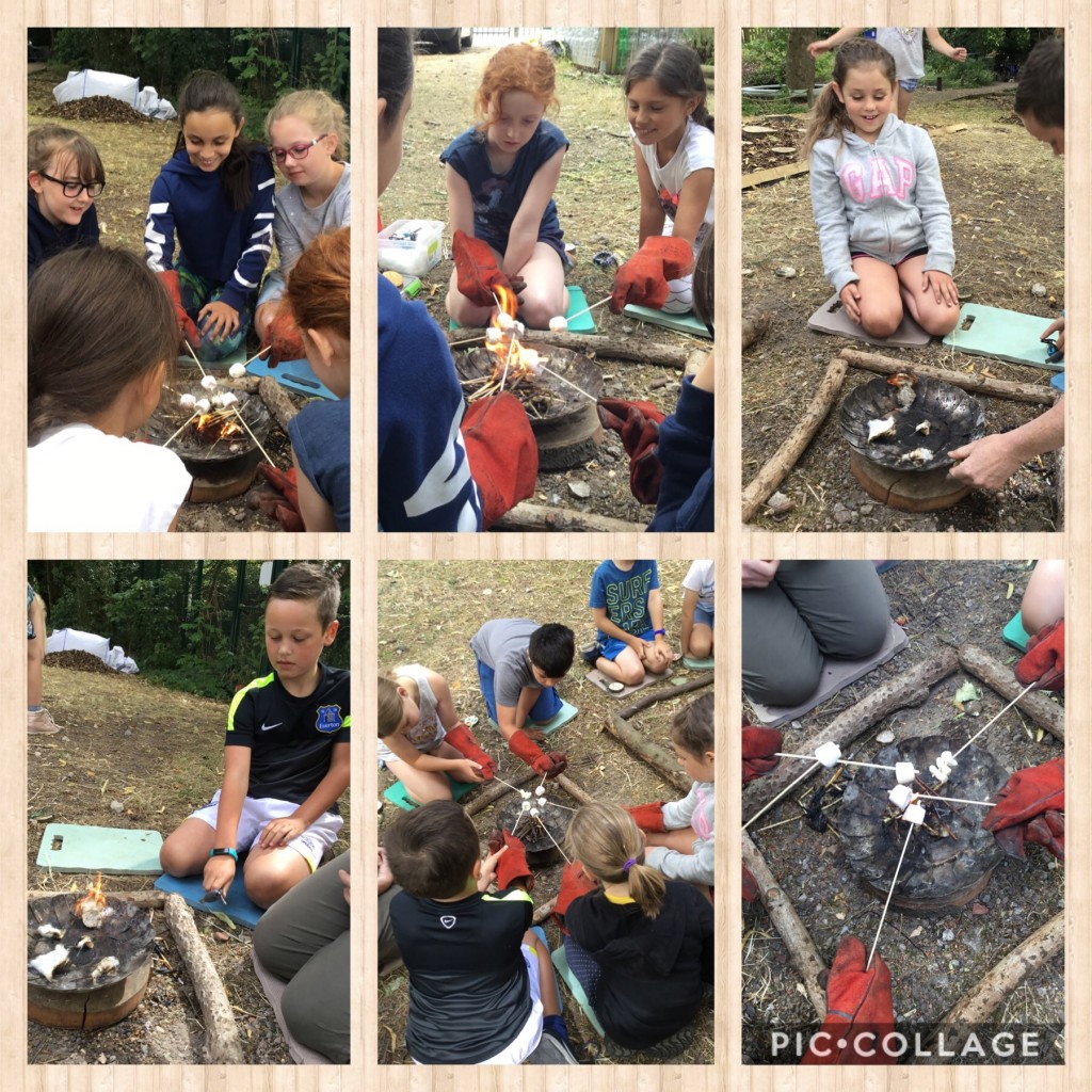 10973100-3E98-4DA8-A439-35C9DCEB77A3