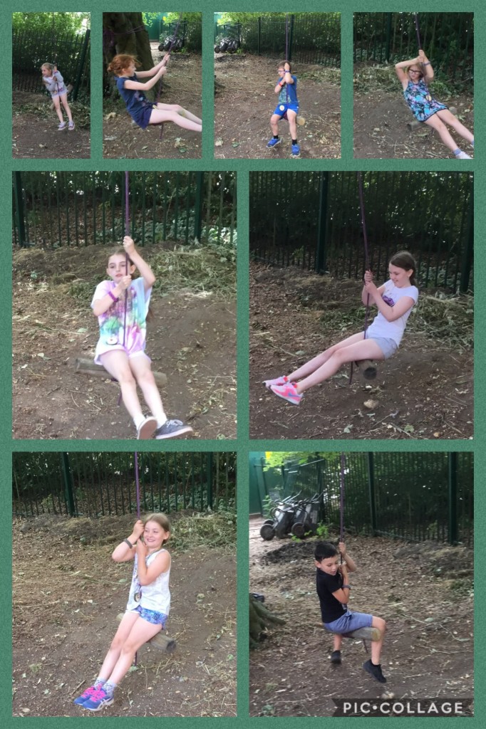 5BBDCC51-BBB3-42AB-837D-084D725D1D42