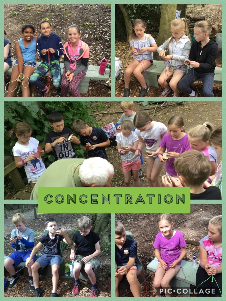 AF62BB74-AE5F-4738-BD45-4863E784A9F4