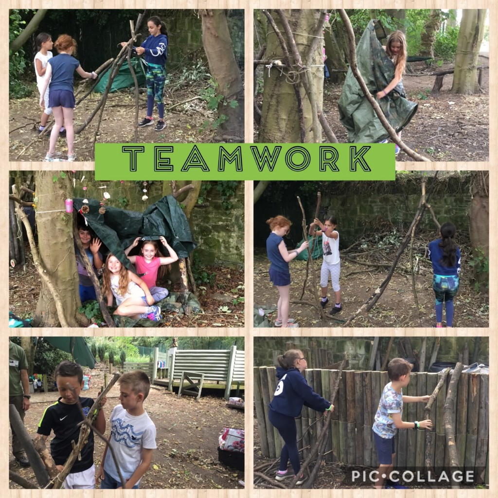 B4B92173-034A-4804-BF9B-DE288882677F